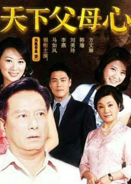 天下父母心海报