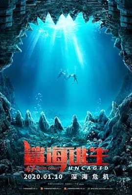 鲨海47：猛鲨出笼海报