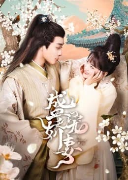 团宠娇妻海报