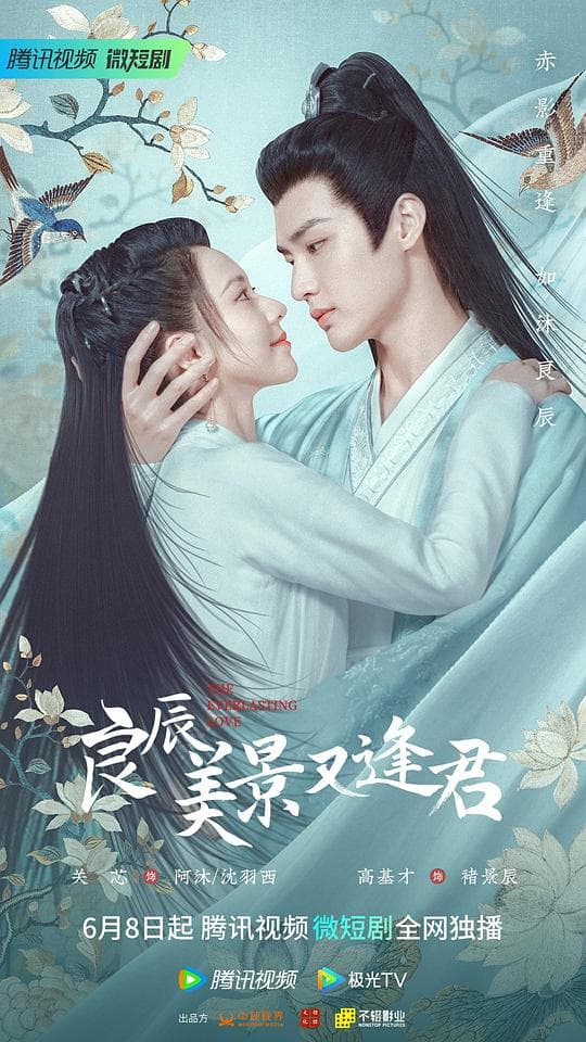 良辰美景又逢君海报