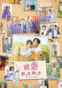 宠爱PetPet(国语)海报