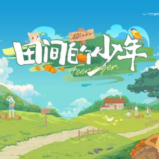 田间的少年海报