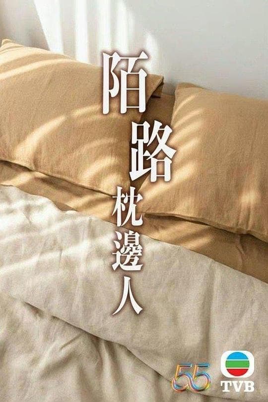 再见枕边人粤语海报