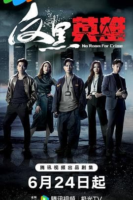 反黑英雄(粤语)海报