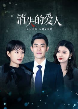 消失的爱人海报