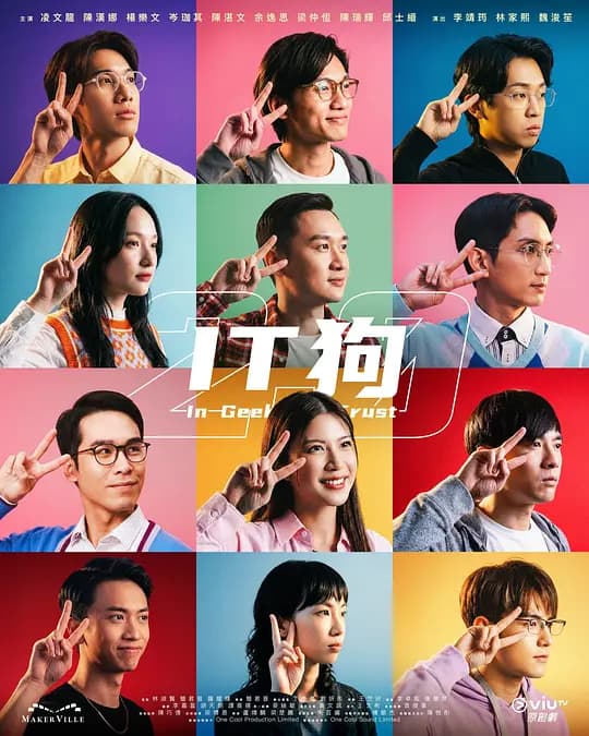 IT狗2.0海报