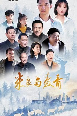 米良与麦青海报