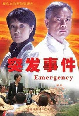 突发事件2008海报