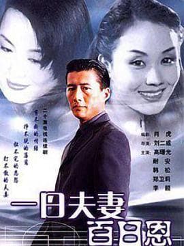 一日夫妻百日恩1998海报