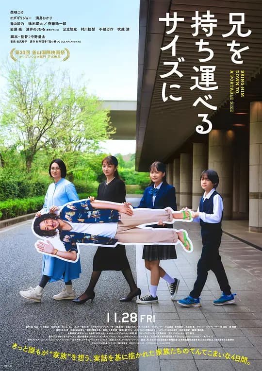 把哥哥带走海报