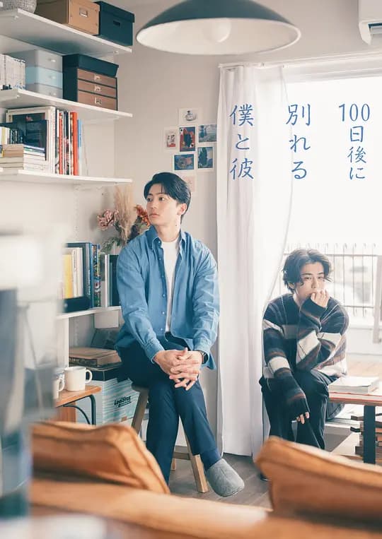 100天后分手的我和他海报